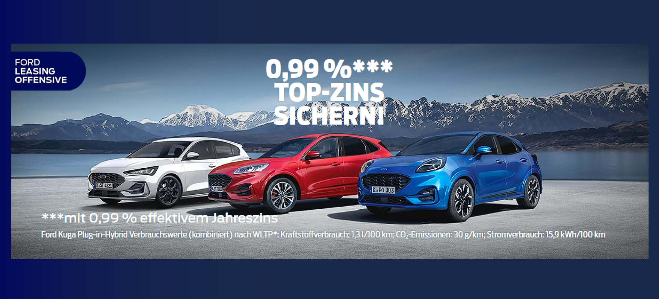 Verschiedene Ford Modelle als Leasing