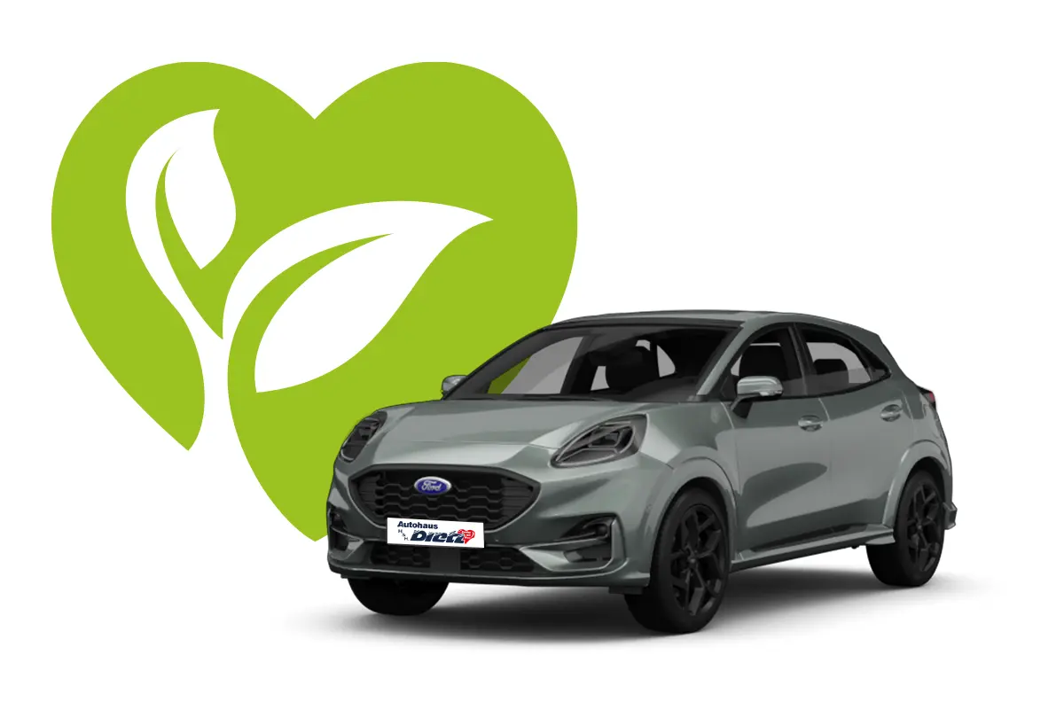 grauer Ford Puma