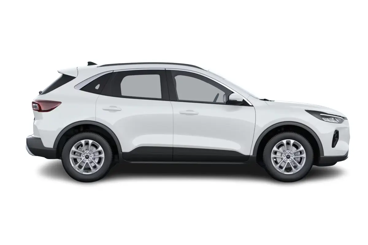 weißer Kuga