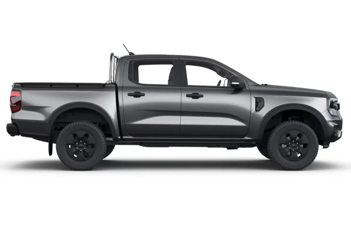 grauer Ranger
